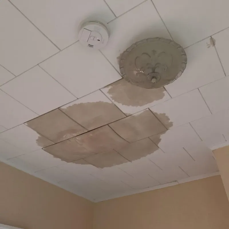 Ceiling Water Damage Repair in Mount Pulaski, IL