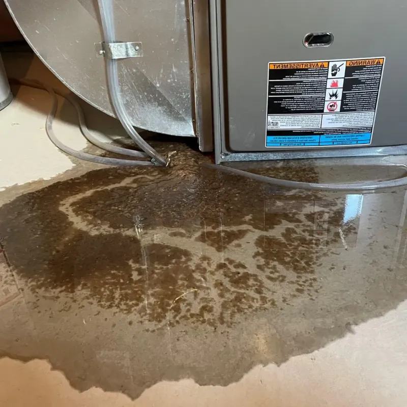 Pipe Burst and Leak Restoration in Mount Pulaski, IL
