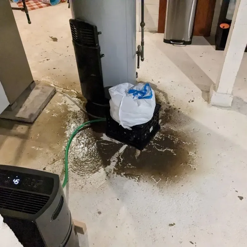 Sewage Backup Cleanup Service in Mount Pulaski, IL